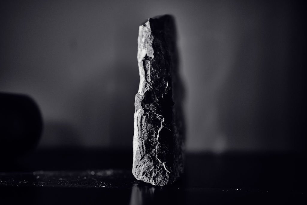 Kolfok Weine - Stimmungsbild Terroir, schwarz weiß